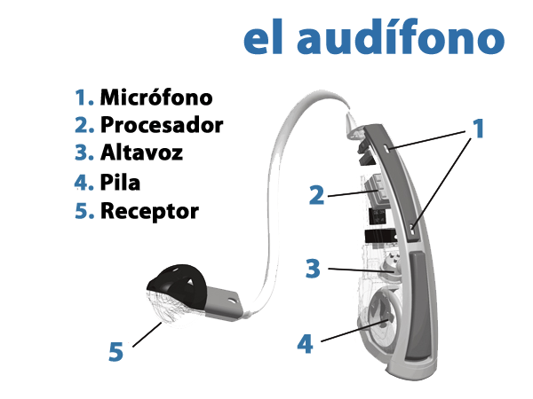 ¿Qué es un audífono y cómo funciona un audífono?